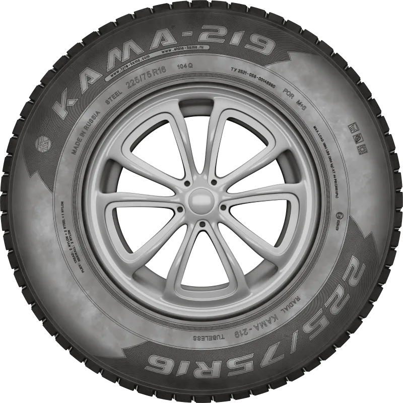 KAMA-219 в Бородине — KAMA TYRES KAMA-219 в Бородине