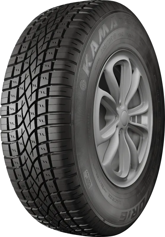 KAMA-221 в Бородине — KAMA TYRES KAMA-221 в Бородине