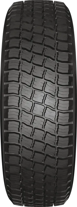 KAMA-219 в Бородине — KAMA TYRES KAMA-219 в Бородине